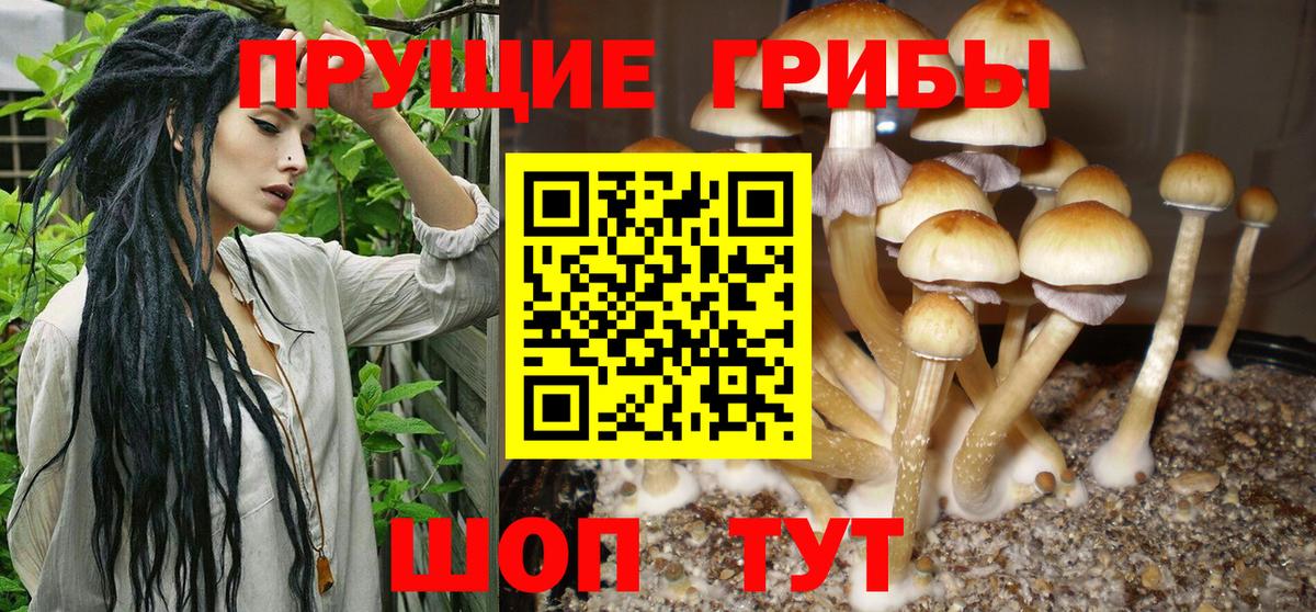Грозный  Галлюциногенные грибы ЛСД  наркошоп  Псилоцибиновые грибы Magic Shrooms  Вход с VPN 